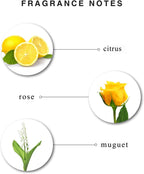 Enchanteur Perfumed Body Lotion Charming Satin Smooth | Aloe Vera & Olive Butter | Used to Soften and Moisturize Your Skin - 250ml