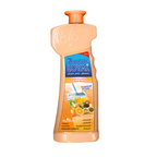 Loyal  Multi-Purpose Household Deodorizer Tropical Fruits Orange  - Bad Odor Remover - Safe to Use - 700 ml