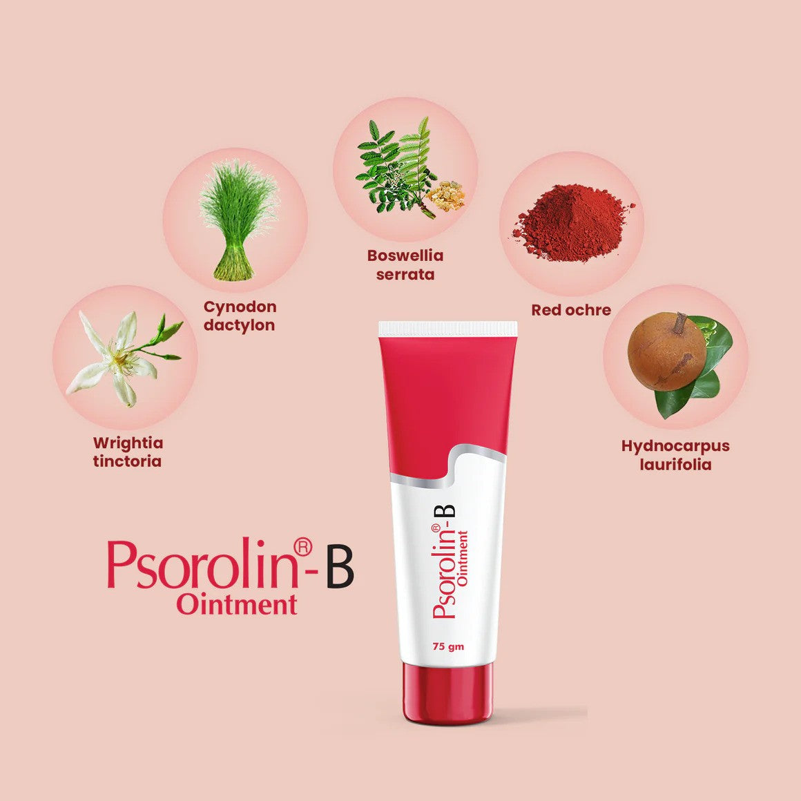 Dr. JRK Psorolin-B Ointment - Reduces Skin Irritation and Rash Problems - Manages Dermatological Problems - 35gm
