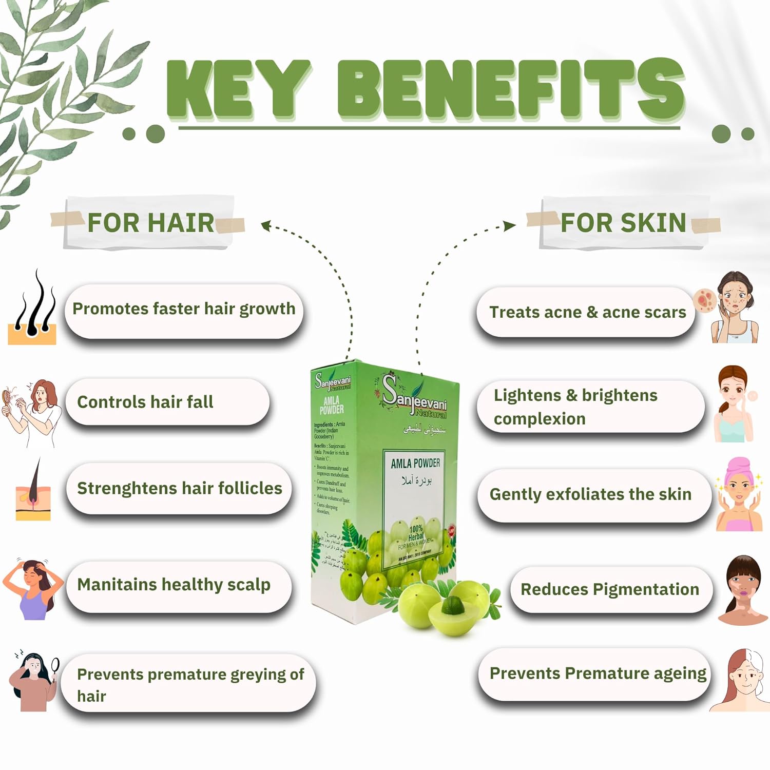 Sanjeevani Natural  Amla Powder  - Promotes Hair Growth Glowing Skin - Boosts Immunity - Promotes Hair Growth Glowing Skin - 100 g