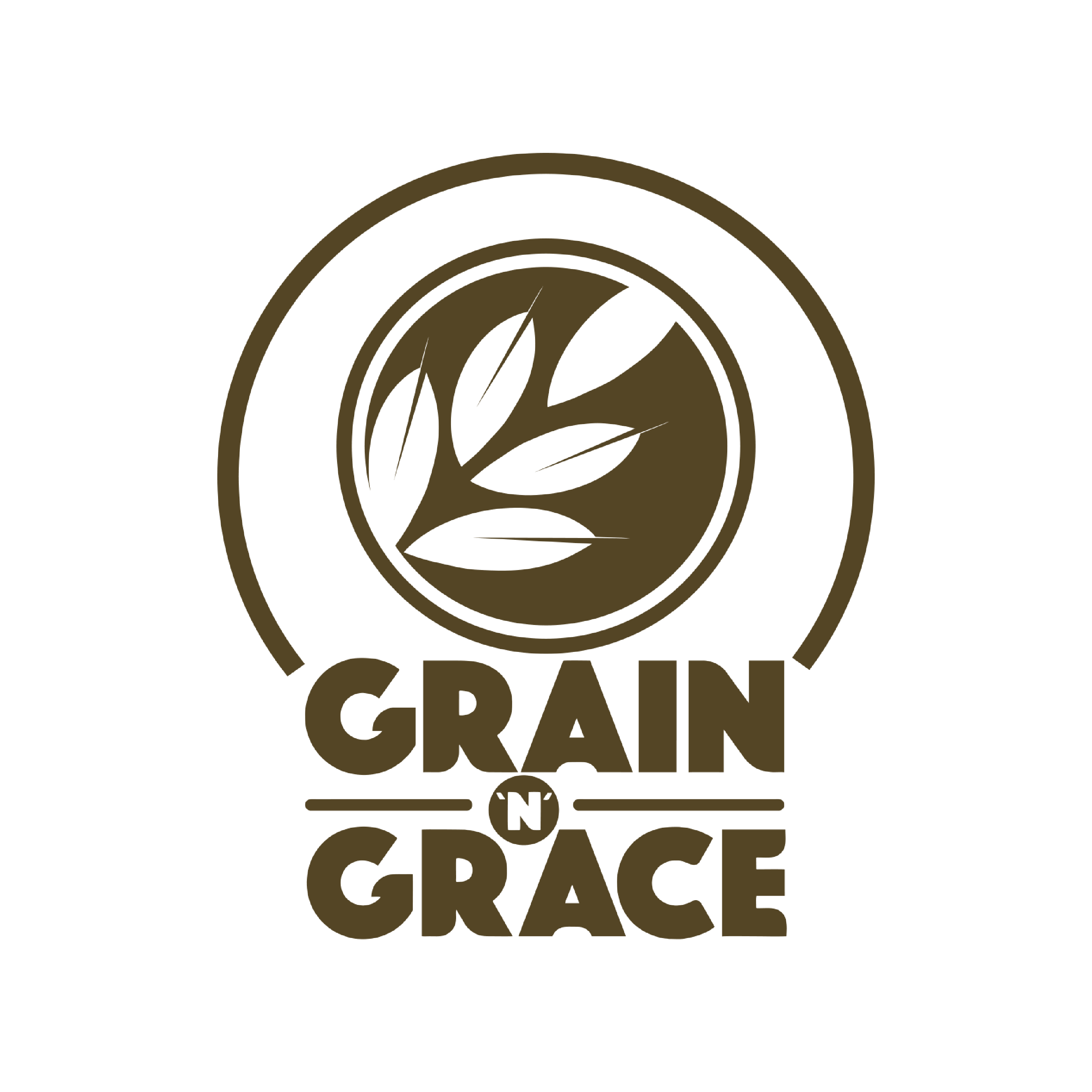 Grain N Grace Instant Fried Chicken Mix - Chilly Spicy Treat - Marination & Breading Mix - No added MSG & Synthetic Colours - Make Chicken with Crispy and Flaky Coating - 100g