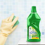 Loyal  Surface Cleaner Green  - Kills 99.9% of Microbes- 2400 ml