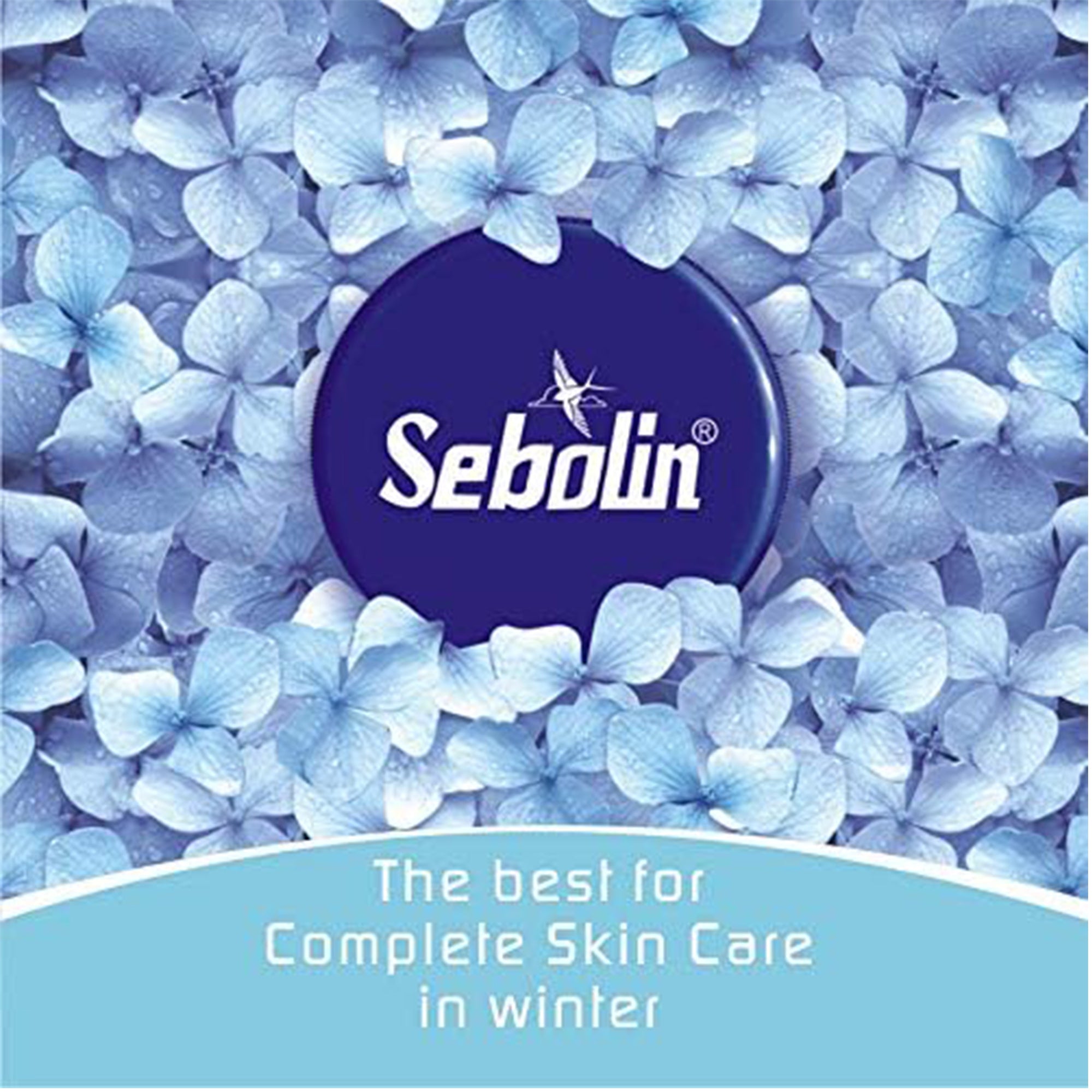Sebolin  Lips and Dry Skin Care Cream - Moisturizes Skin Leaving it Smooth & Healthy - Your Best Protection for Dry Skin - 200 gms