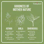 Banjara's Brazilian Black Henna No Ammonia 100% Grey Coverage Lasts Upto 4 Weeks Rich in Amla, Brahmi, Shikakai, Bhringraj - 54 grams