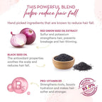 Wow Skin Science Red Onion Black Seed Oil Shampoo - Red Onion Seed Oil Extract Black Seed Oil & Pro Vitamin B5 - Dermatology Tested , No Parabens - 250ml